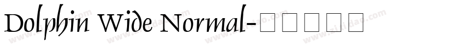 Dolphin Wide Normal字体转换
